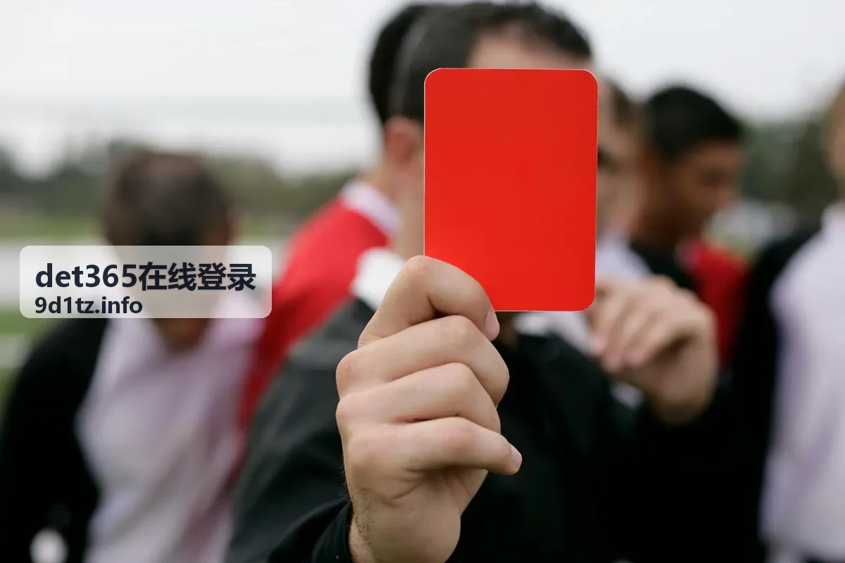 det365 账户安全与隐私保护实用建议